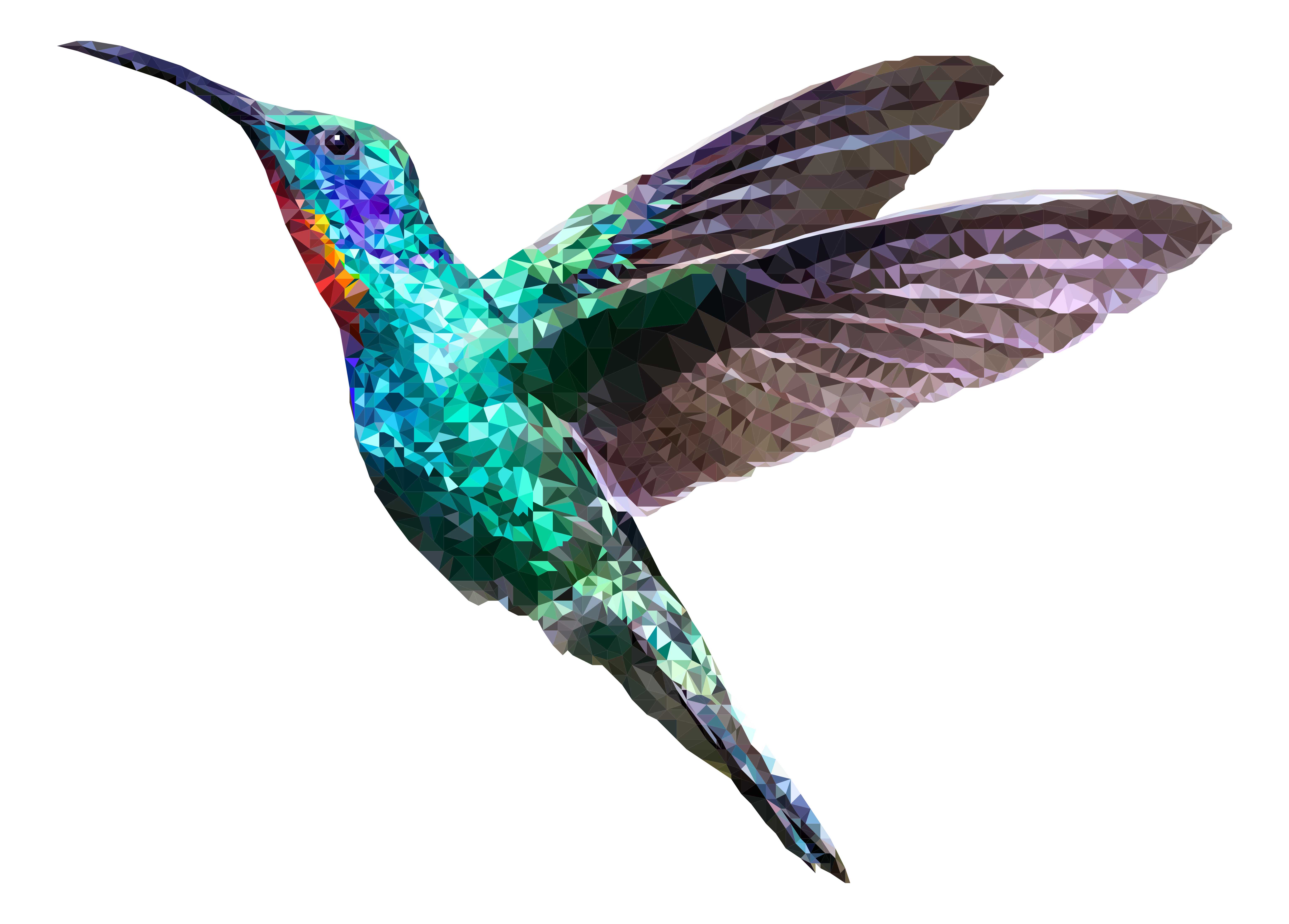geometric hummingbird digital art